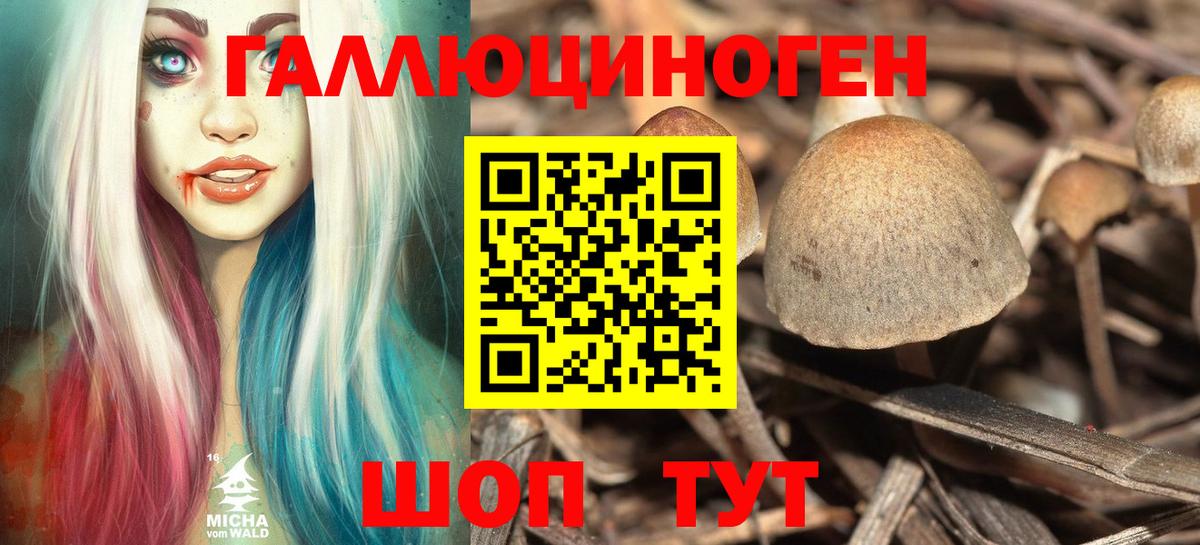 Галлюциногенные грибы Magic Shrooms  Вход с VPN  Дмитров  Псилоцибиновые грибы Psilocybe 